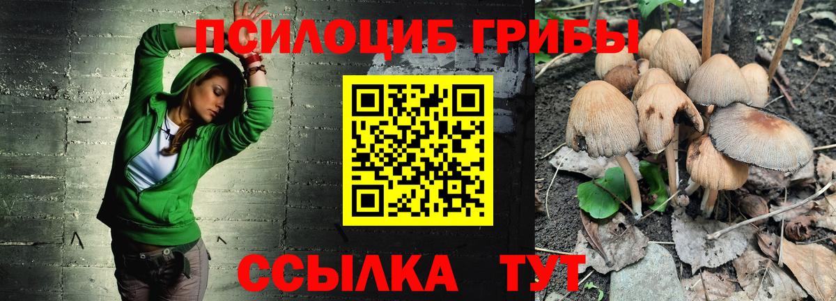 Галлюциногенные грибы ЛСД Самара